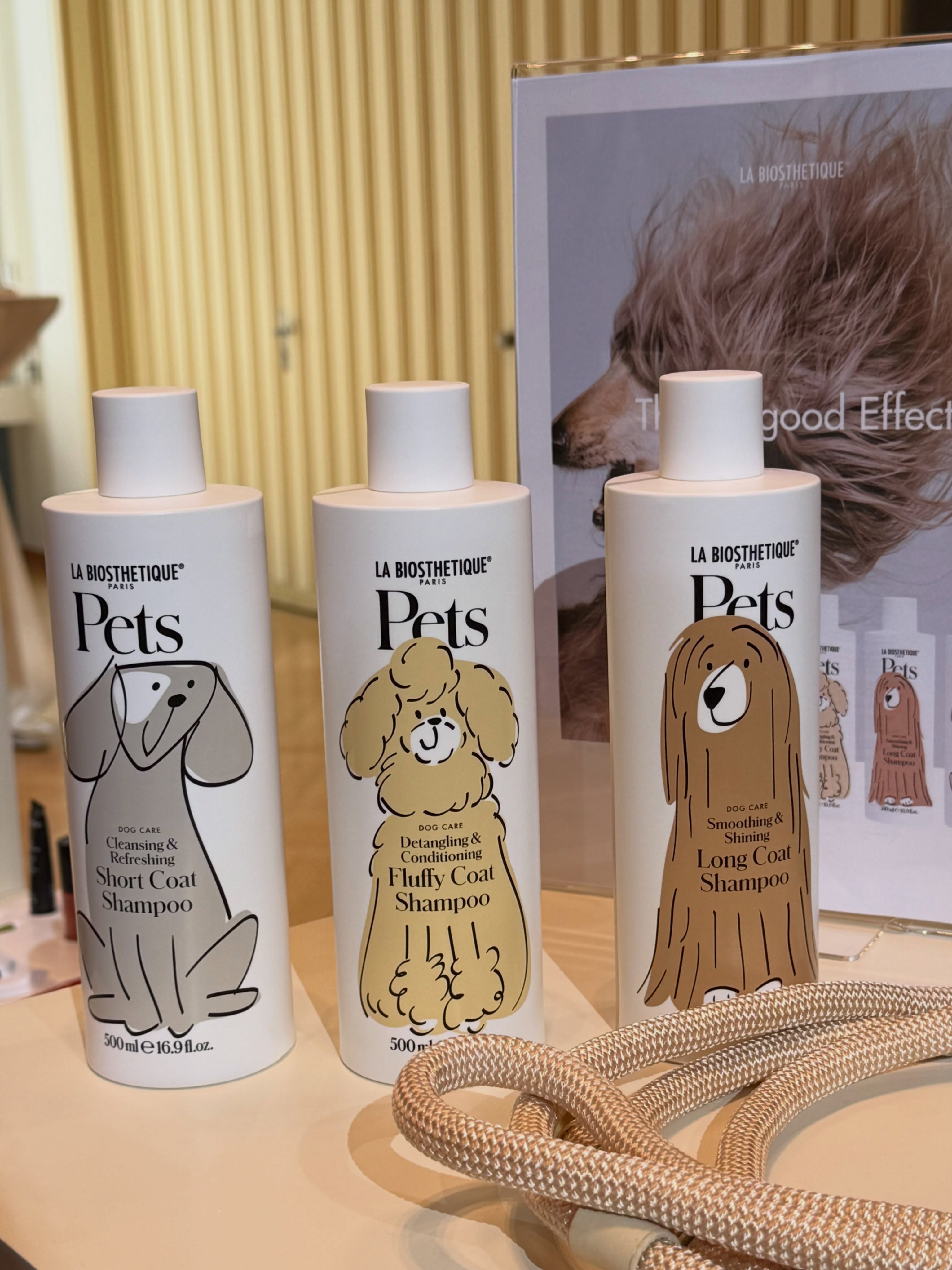 🐶Bald gibt’s etwas Neues für unsere Vierbeiner!